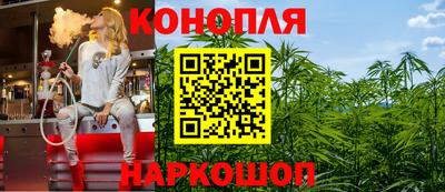 apvp Гусев