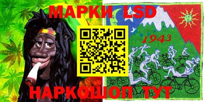 apvp Гусев