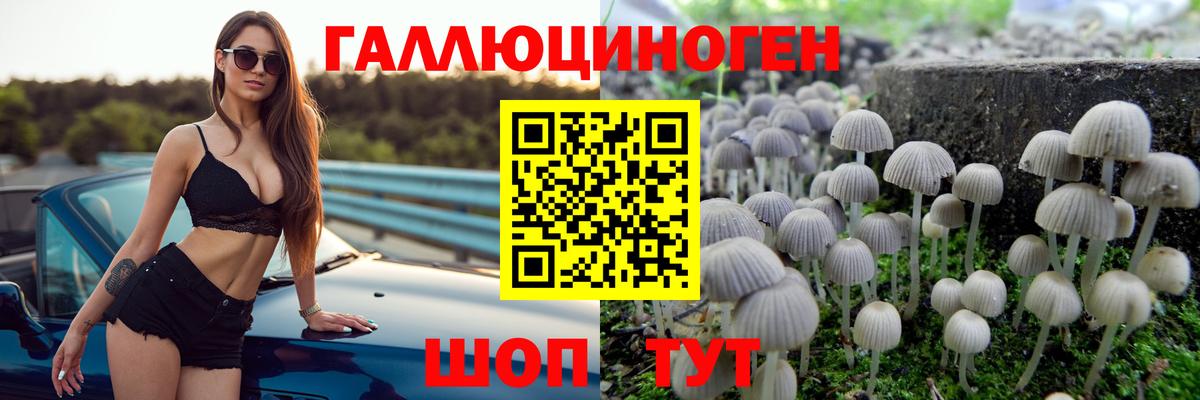 Галлюциногенные грибы мухоморы Семёнов